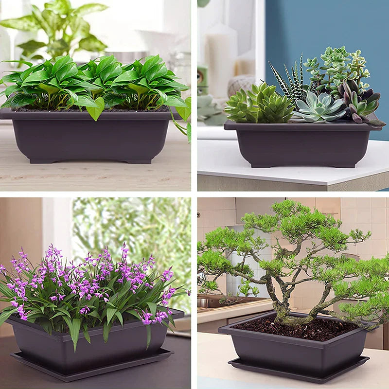 Dark gray rectangular ceramic plant pot with matching saucer for succulents bonsai para plantas outdoor garden use