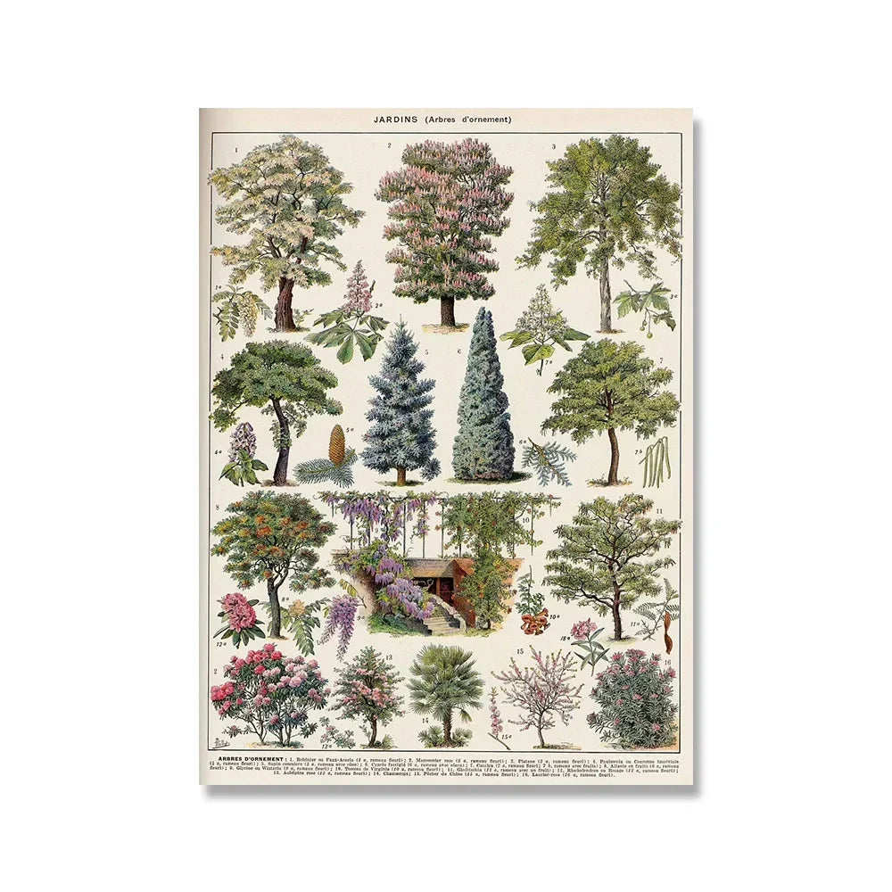 Botanical Vintage Encyclopedia Prints Wall Art - E / 50x70cm No Frame - Posters