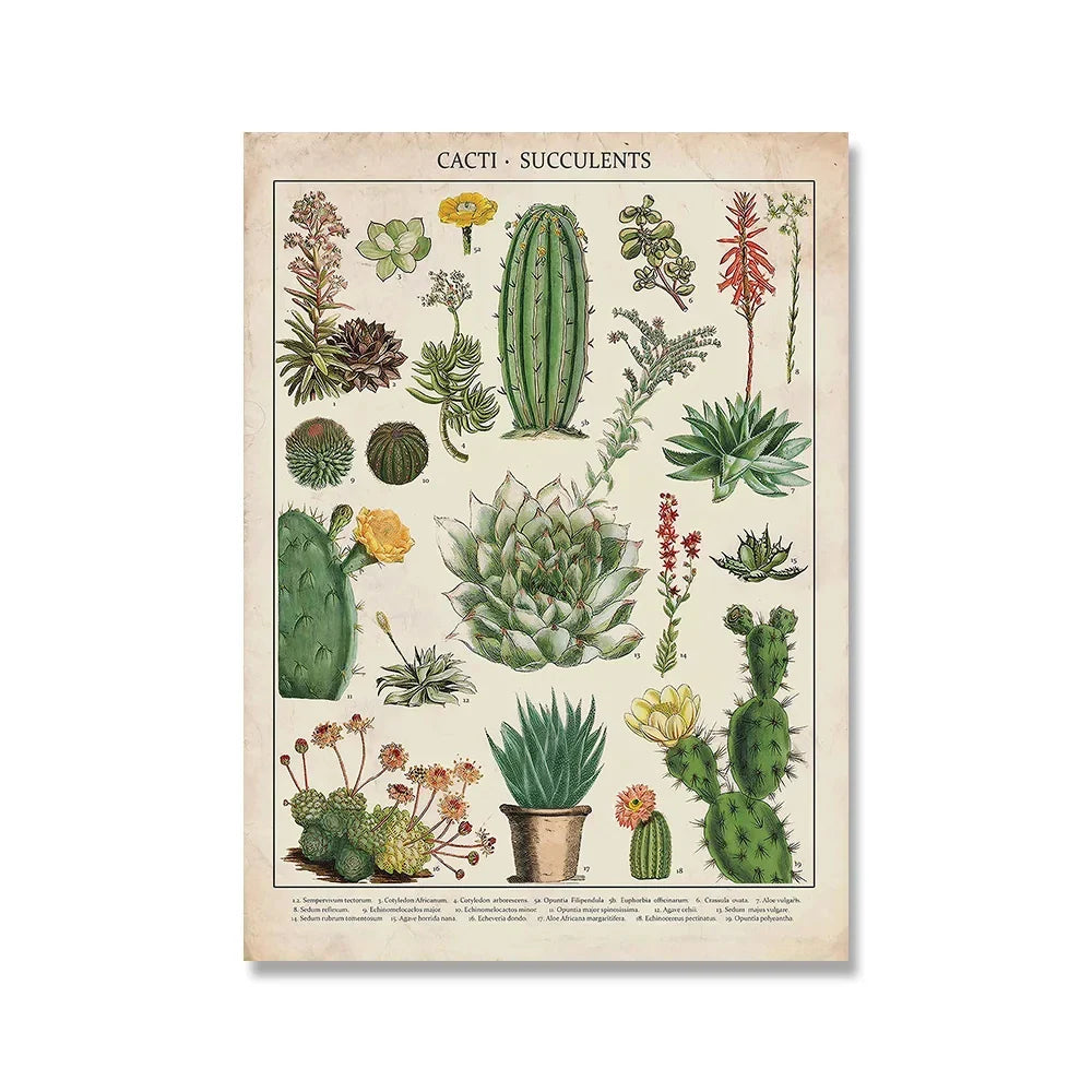 Botanical Vintage Encyclopedia Prints Wall Art - H / 50x70cm No Frame - Posters