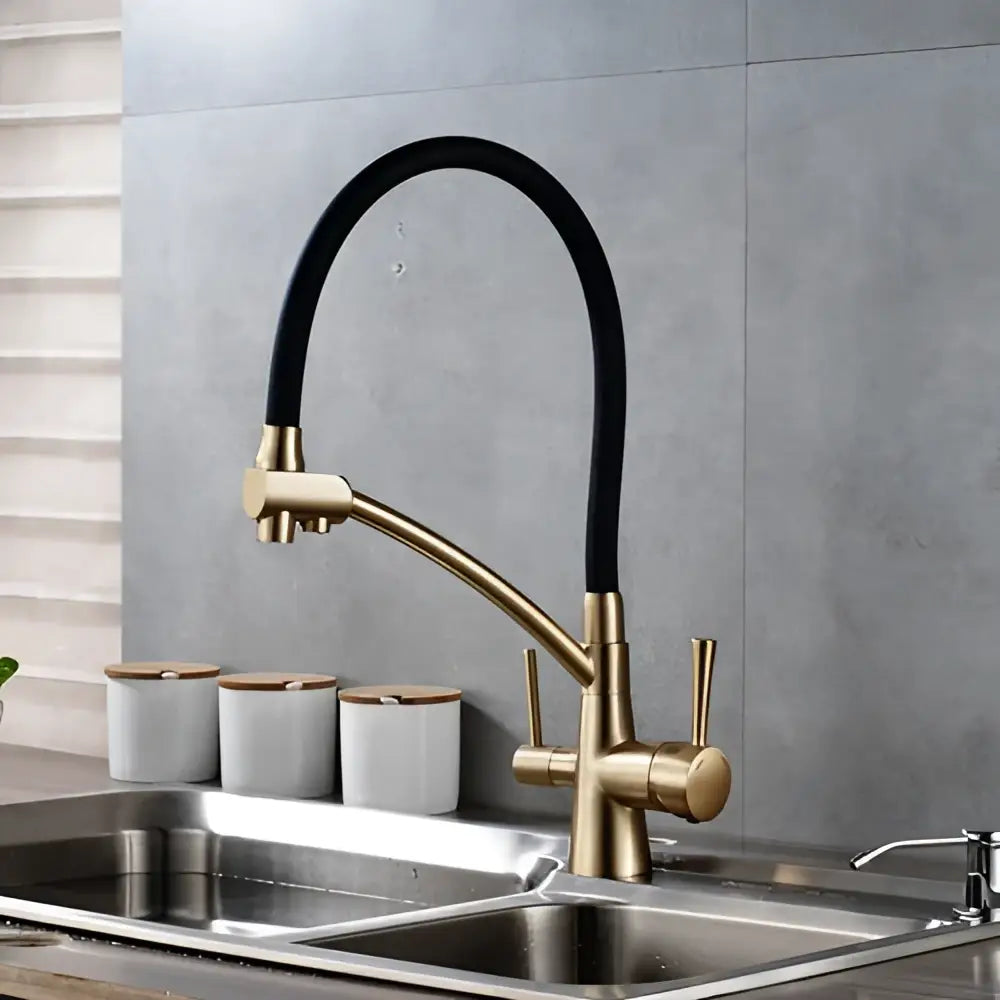 Brass and black decorbites dual spout kitchen faucet with gold-toned body flexible hose and dual handles for hot cold filtered water