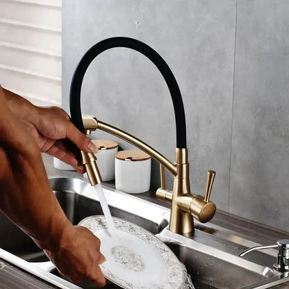 Gold-toned brass and black decorbites dual spout kitchen faucet with flexible hose and three dual handles for kitchen use