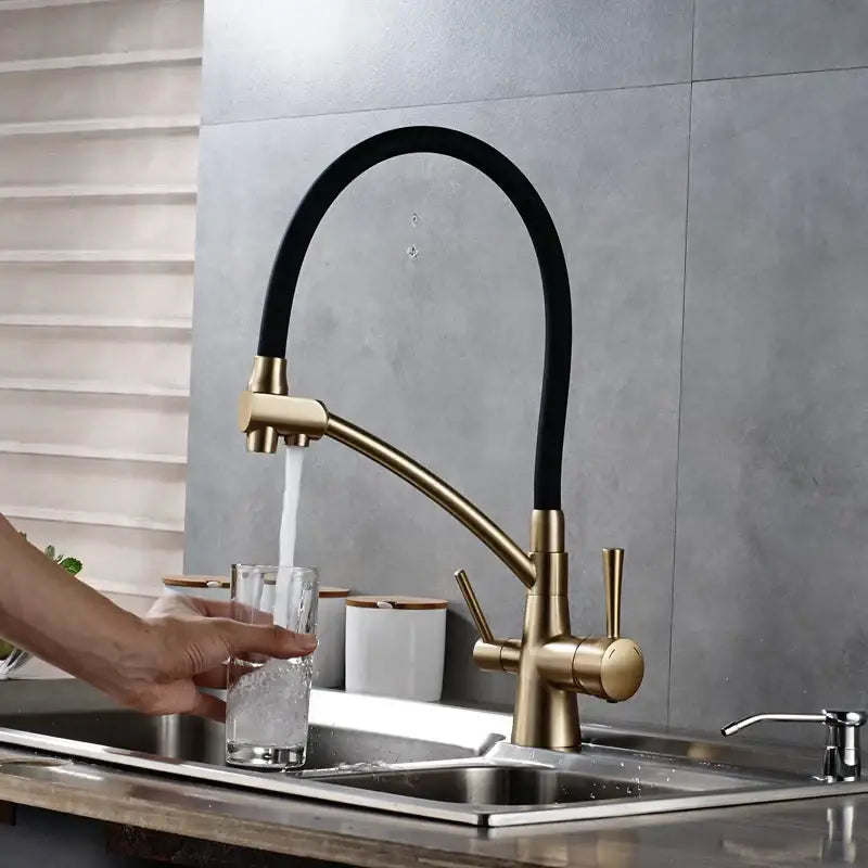 Modern brass and black kitchen faucet with dual handles and flexible hose featuring decorbites dual spout design