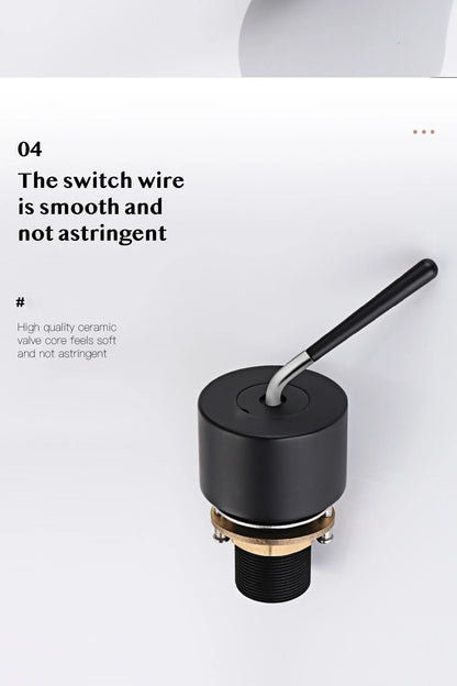 Brass Black Luxury Bathroom Faucet - Single Handle