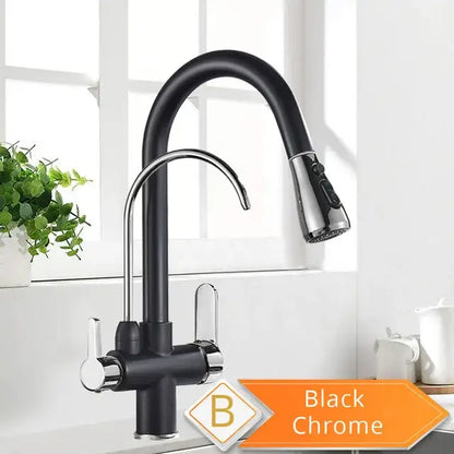 Black chrome kitchen faucet with sleek curved spout pull-down spray head and water control for filtered water use