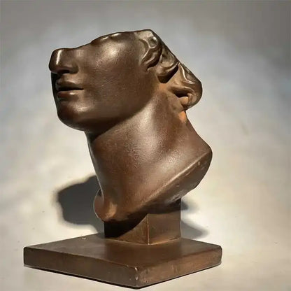 Bronze abstract human face sculpture with smooth contours and detailed hair for living room decorbites art decor