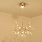 Bronze Designer LED Heracleum Chandelier: Acrylic Living Room Pendant Light Fixture