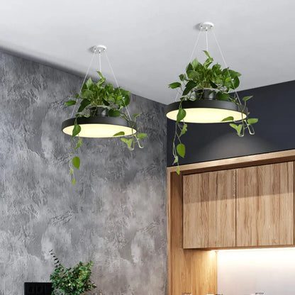 Brooklyn - Round Macaron Round Hanging Light Acrylic LED Pendant Lighting Fixture in Black/Grey/White with Top Plant Pot