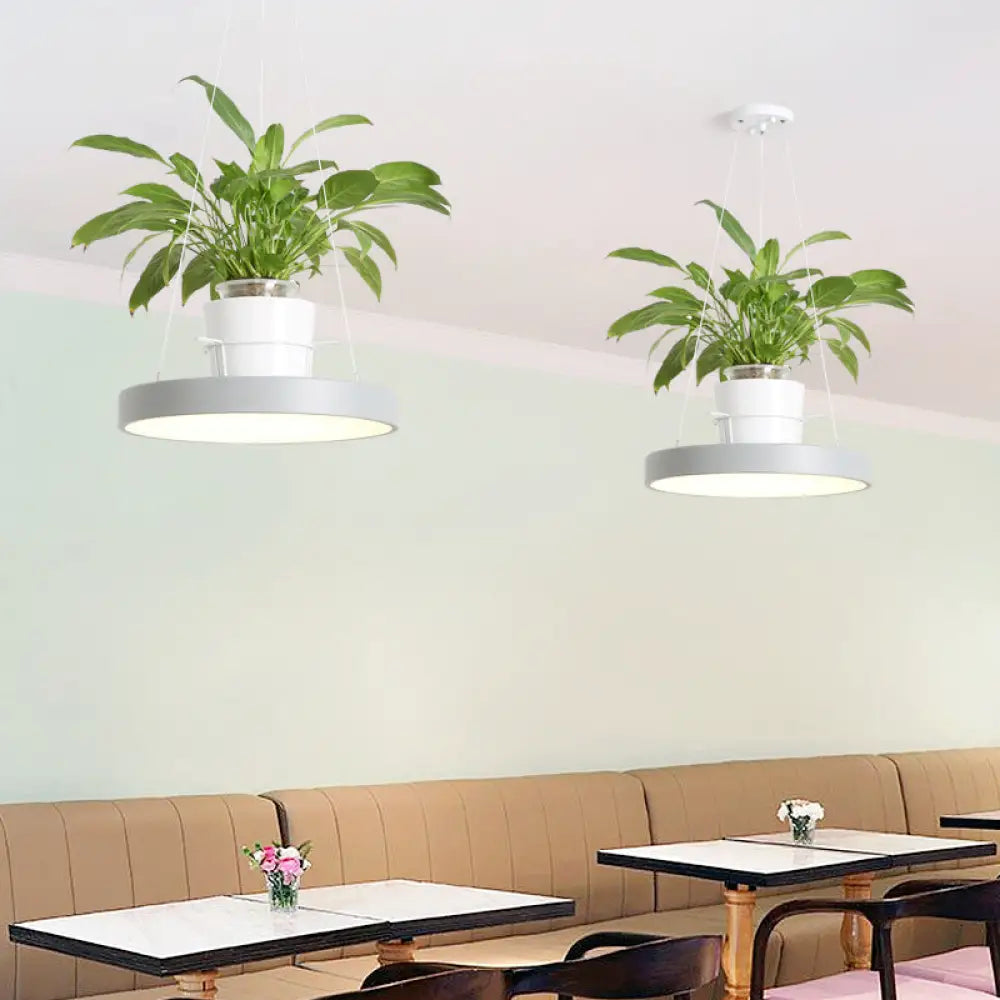 Brooklyn - Round Macaron Round Hanging Light Acrylic LED Pendant Lighting Fixture in Black/Grey/White with Top Plant Pot