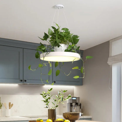 Brooklyn - Round Macaron Round Hanging Light Acrylic LED Pendant Lighting Fixture in Black/Grey/White with Top Plant Pot