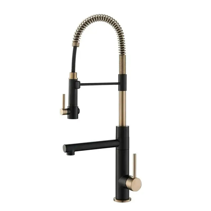Brushed gold and black kitchen faucet with two handles and flexible coiled gooseneck spout by decorbites brushed gold