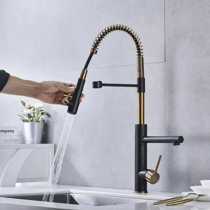 Brushed gold and black kitchen faucet with flexible coiled spray head and pull down spout by decorbites brushed gold