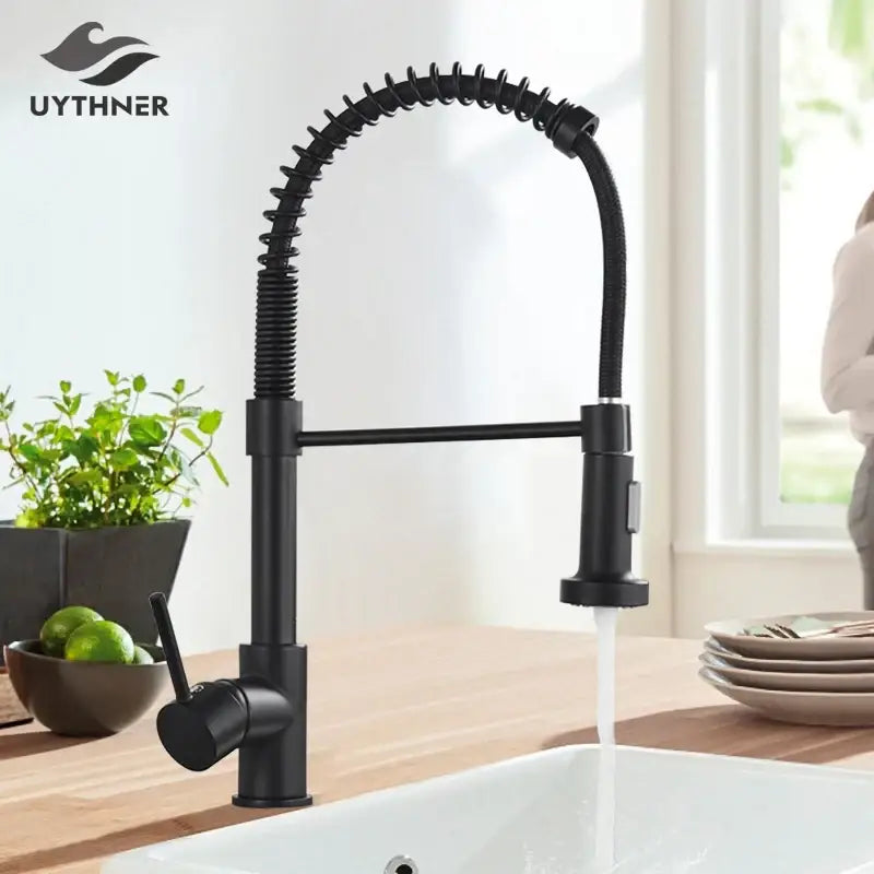 Black matte kitchen faucet with flexible coiled spout and pull-down spray head in decorbites brushed nickel style