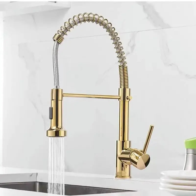 Gold-colored decorbites brushed nickel kitchen faucet with pull down coiled gooseneck spout and flexible hose