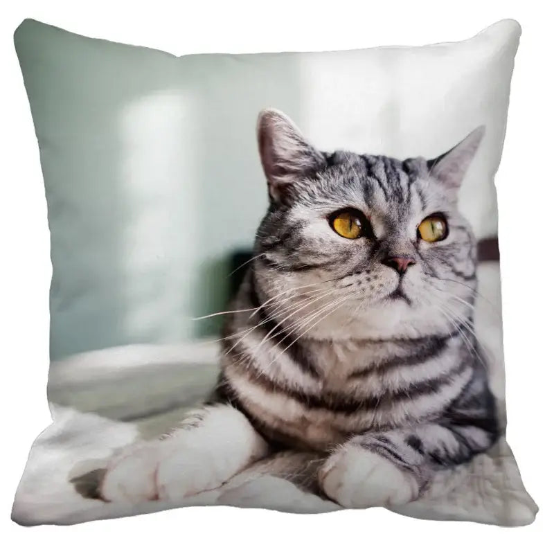Square cushion cover featuring a bubble black cats silver tabby design with yellow eyes and white paws for living room decorbites decor