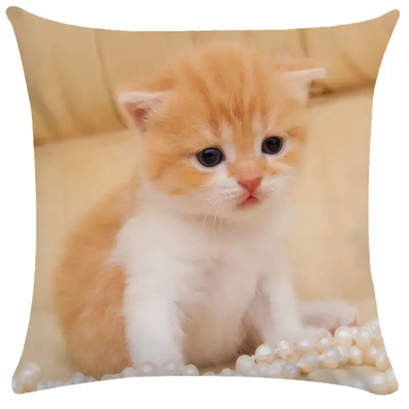 Cute orange and white kitten printed on a white square cushion cover from decorbites bubble black cats collection for living room decor