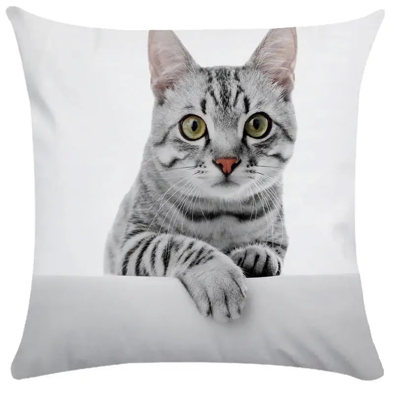 White square cushion cover featuring a realistic silver tabby cat photo for decorbites bubble black cats pillow case decor