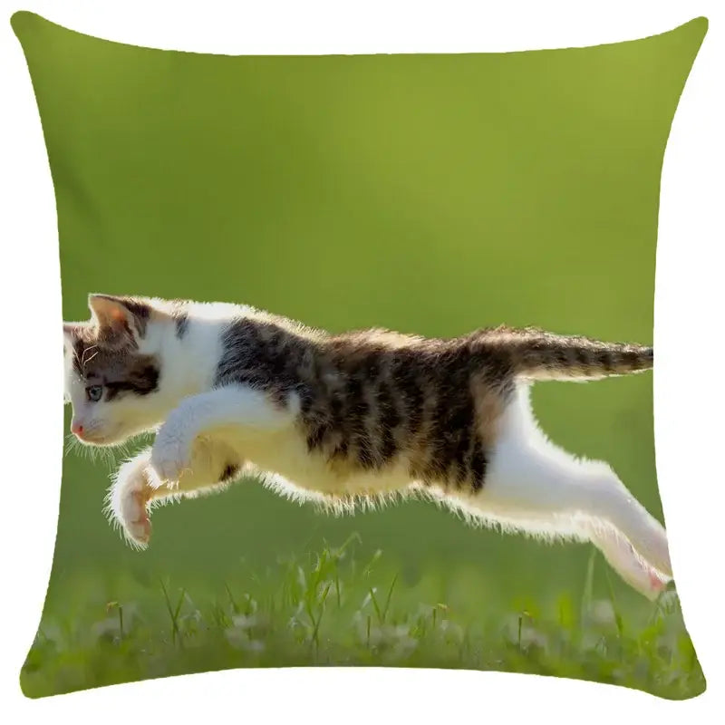 Square throw pillow bubble black cats white cushion cover with tabby kitten print on green grassy background decorbites bubble black