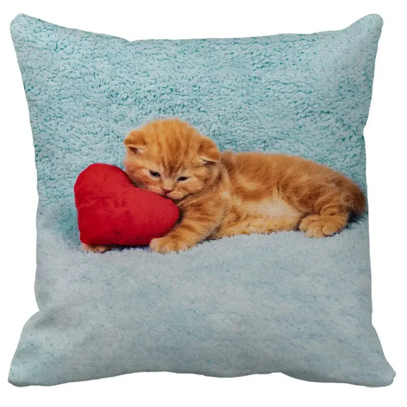 Light blue plush throw pillow with orange kitten and red heart design, part of decorbites bubble black cats cushion cover collection