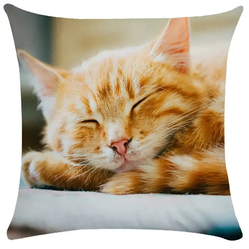 Cozy white square cushion cover featuring a high-resolution sleeping orange tabby cat print for decorbites bubble black cats decor
