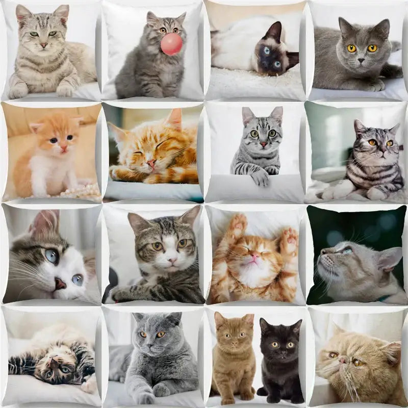 A collection of white square cushion covers featuring various colorful cat images including bubble black cats decorbites designs