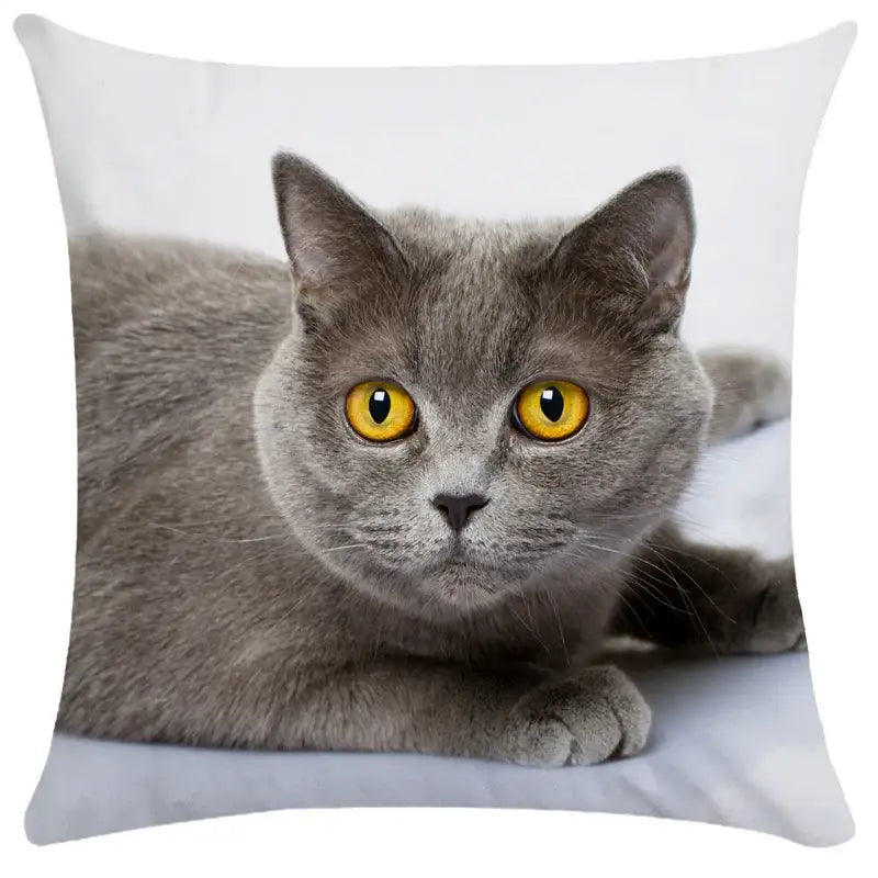 White square cushion cover with gray british shorthair cat and yellow eyes for decorbites bubble black cats decor
