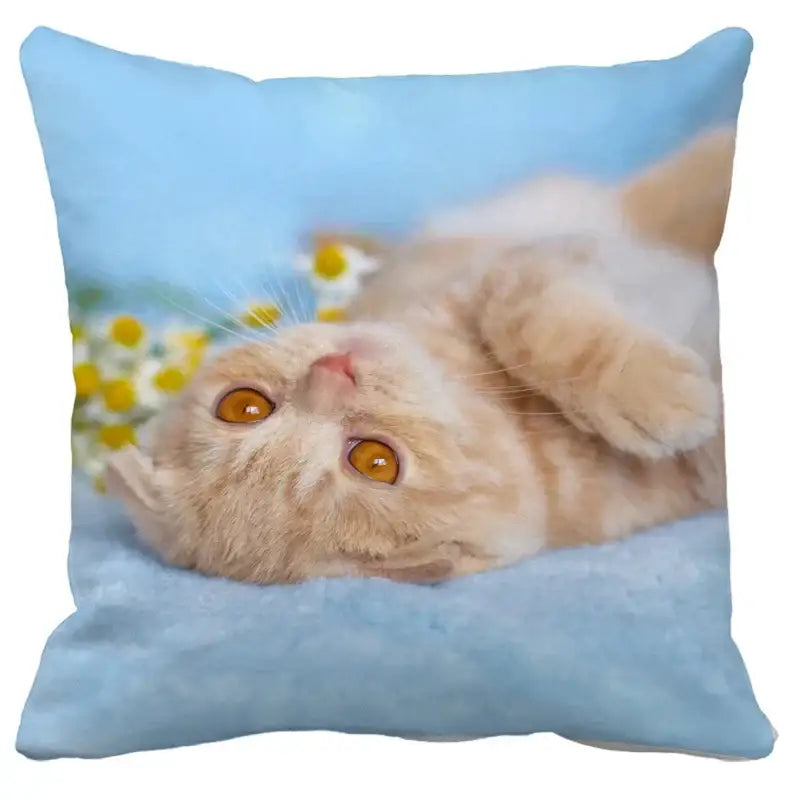 Light blue throw pillow with orange tabby kitten print among yellow daisies for decorbites bubble black cats cushion cover