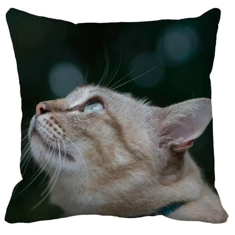 A square throw pillow featuring a light-colored cat with green eyes on a dark background in decorbites bubble black cats style