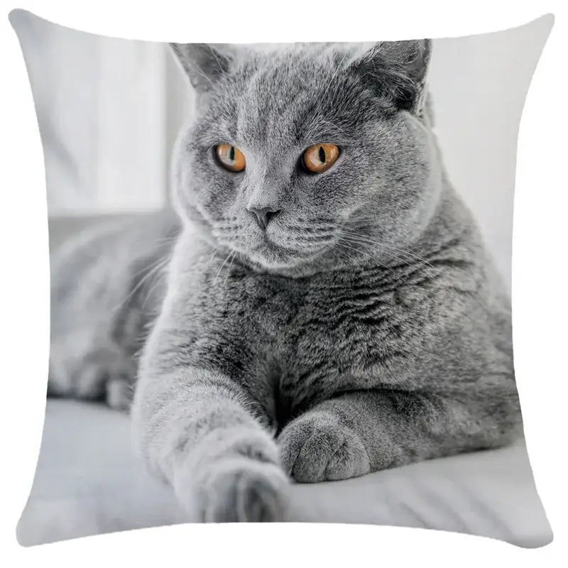 Gray british shorthair cat pillow with orange eyes on decorbites bubble black cats white square cushion cover for living room decor