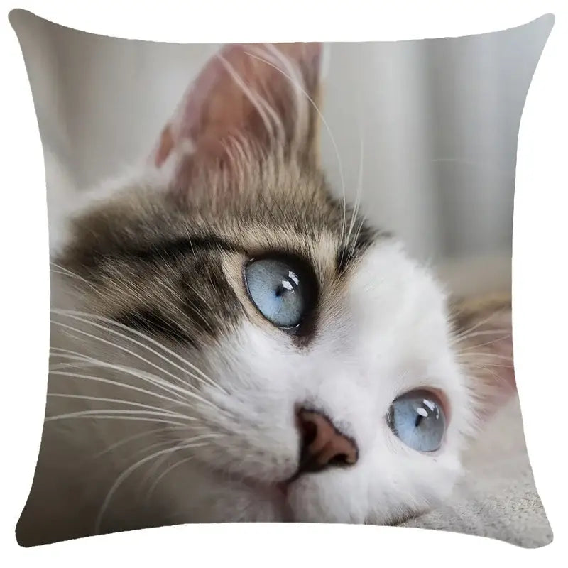Square pillow with high-resolution print of cat with blue eyes white and brown fur for decorbites bubble black cats cushion cover