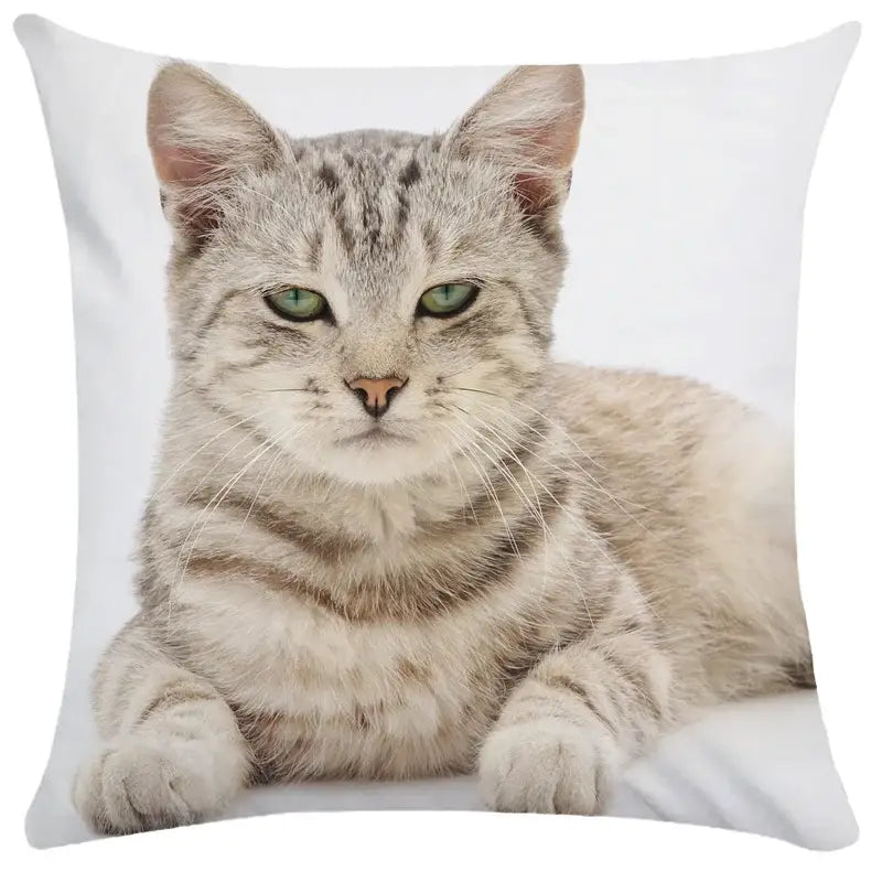 Square pillow with a realistic silver tabby cat print featuring green eyes from decorbites bubble black cats collection
