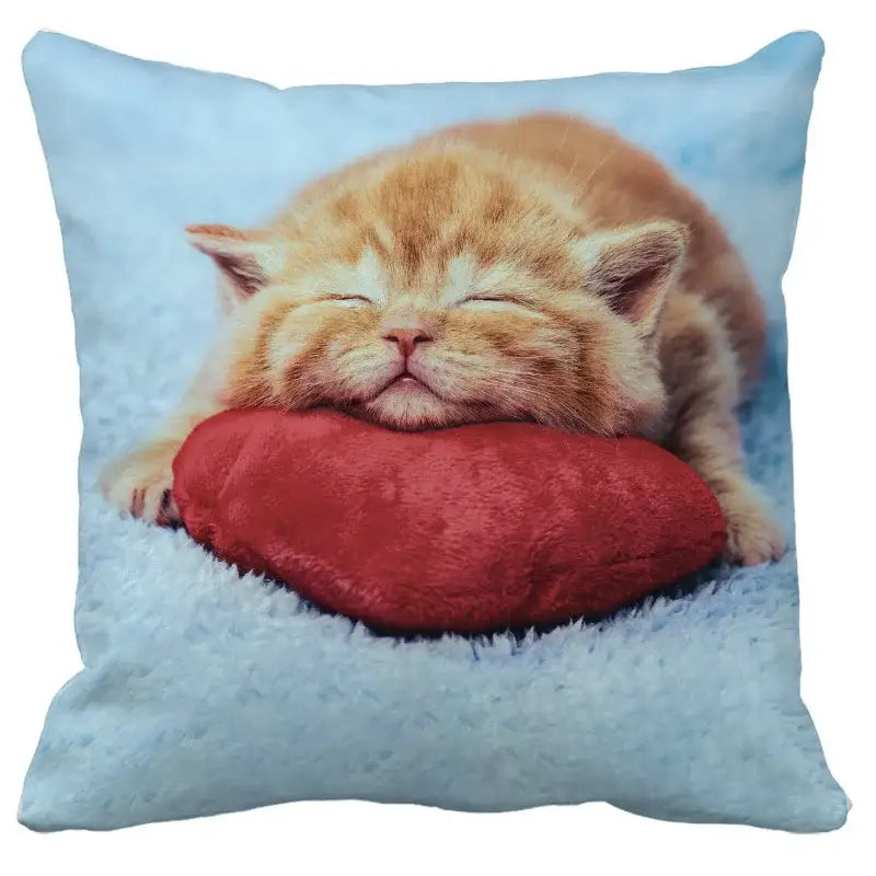 Light blue decorbites bubble black cats square cushion cover with an orange kitten sleeping on a red heart print