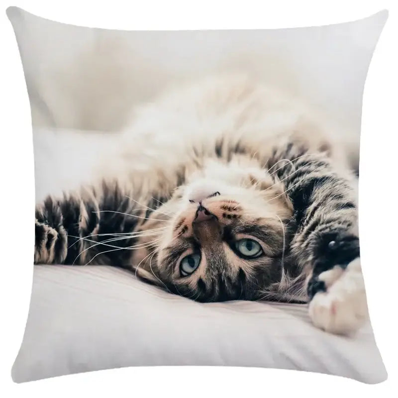 White square cushion cover featuring a printed image of a fluffy tabby cat for decorbites bubble black cats decor