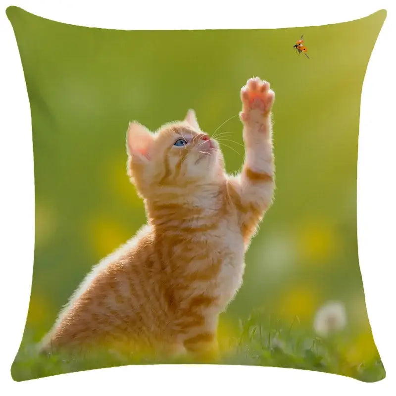 Square cushion cover featuring an orange tabby kitten print for decorbites bubble black cats living room pillow case decor