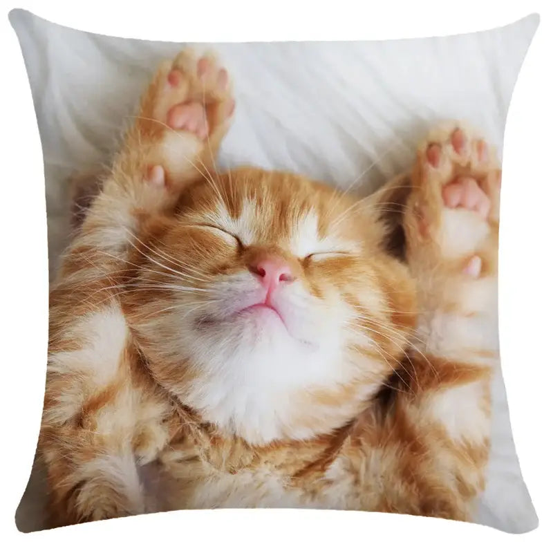 Cozy orange and white tabby cat pillow with soft texture on bubble black cats white square cushion cover for decorbites bubble black cats decor