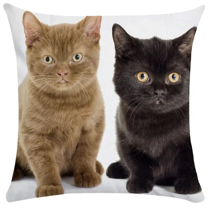 Square throw pillow with printed image of a ginger kitten and black cats for decorbites bubble black living room decor