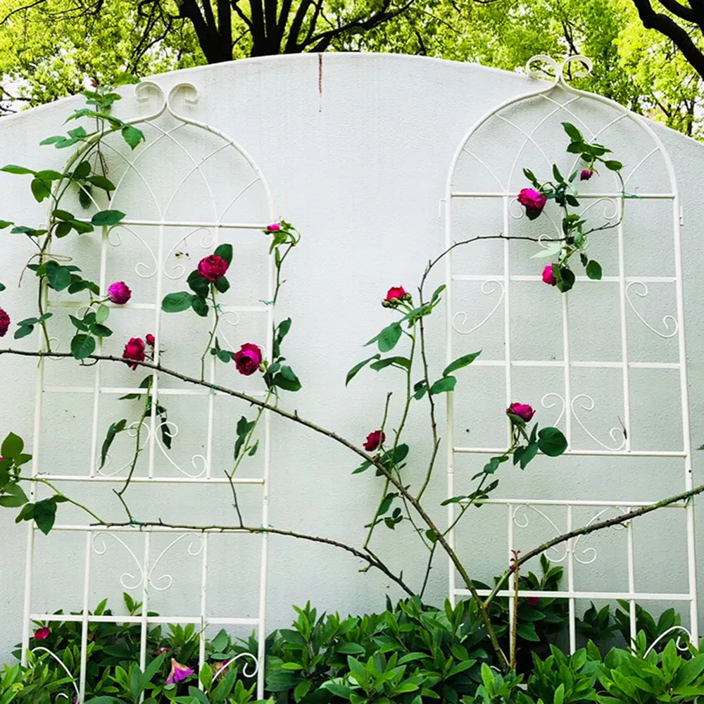 Metal Trellis 2-Pack Set