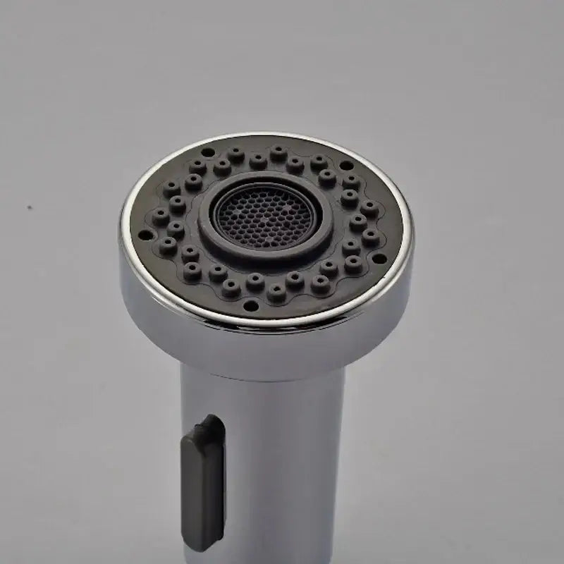 Chrome finished decorbites dual function kitchen sprayer head with black rubberized nozzle and multiple spray holes