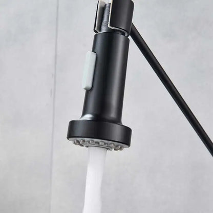 Black matte finish decorbites dual function kitchen sprayer head with gray nozzle for pull-down faucet replacement