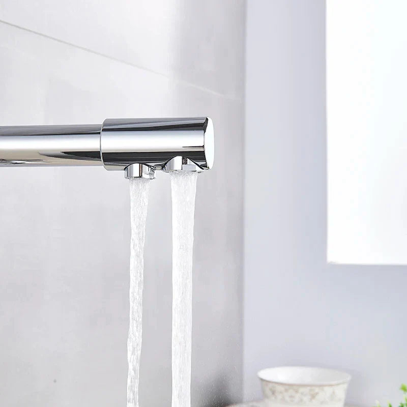 Chrome Pure Water Faucet with Filter