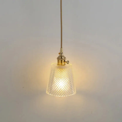 Clear Glass Pendant Lighting Fixture with Simplicity Shaded Hanging Light