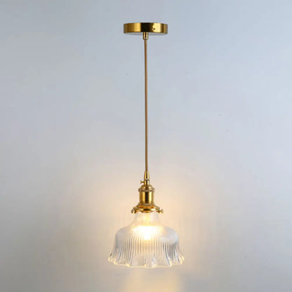 Clear Glass Pendant Lighting Fixture with Simplicity Shaded Hanging Light