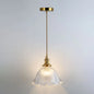 Clear Glass Pendant Lighting Fixture with Simplicity Shaded Hanging Light