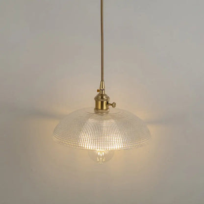 Clear Glass Pendant Lighting Fixture with Simplicity Shaded Hanging Light