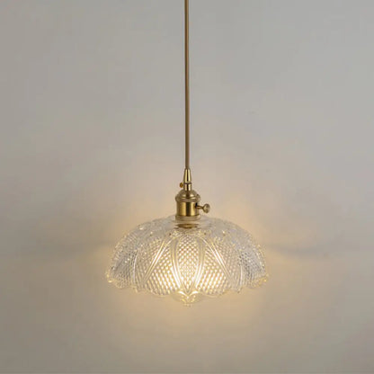 Clear Glass Pendant Lighting Fixture with Simplicity Shaded Hanging Light