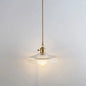 Clear Glass Pendant Lighting Fixture with Simplicity Shaded Hanging Light