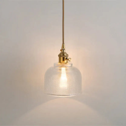 Clear Glass Pendant Lighting Fixture with Simplicity Shaded Hanging Light