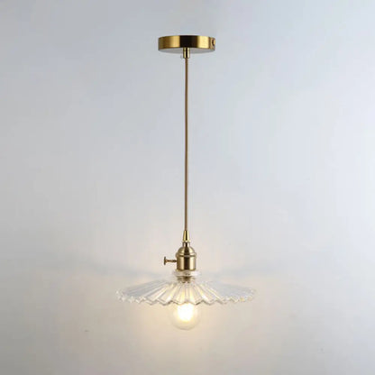 Clear Glass Pendant Lighting Fixture with Simplicity Shaded Hanging Light