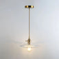 Clear Glass Pendant Lighting Fixture with Simplicity Shaded Hanging Light