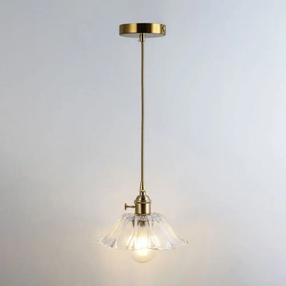 Clear Glass Pendant Lighting Fixture with Simplicity Shaded Hanging Light