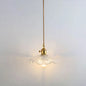 Clear Glass Pendant Lighting Fixture with Simplicity Shaded Hanging Light